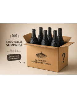BOX Surprise 6 bouteilles