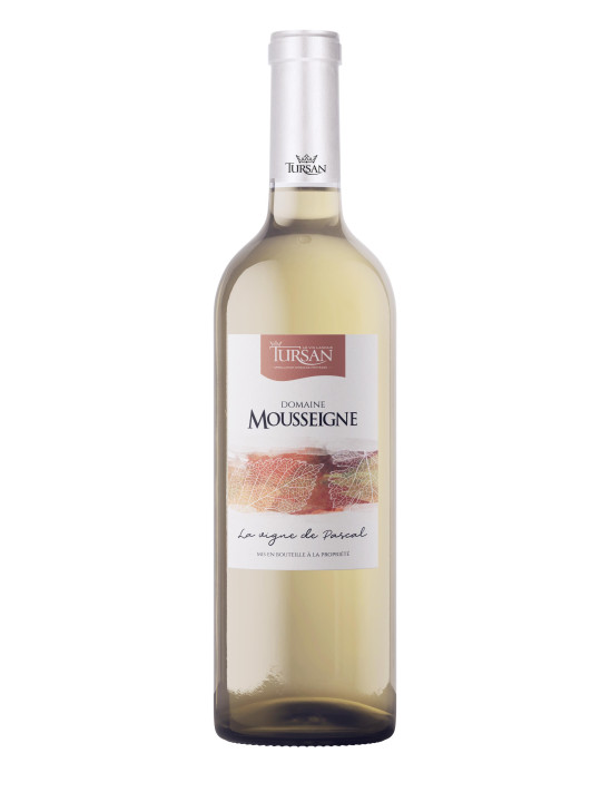 Domaine de Mousseigne blanc 2022 Bio