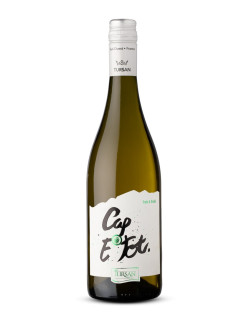 Vin AOP Tursan blanc Cap E Tot