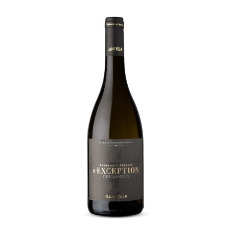 Vin blanc IGP landes 100% Baroque