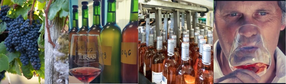 Tursan la vinification de nos vins