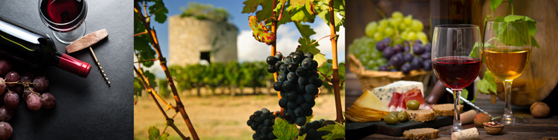 histoire des vignobles dans les landes