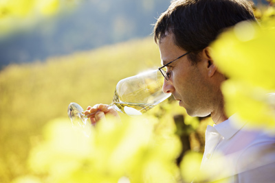 tursan vin qualite